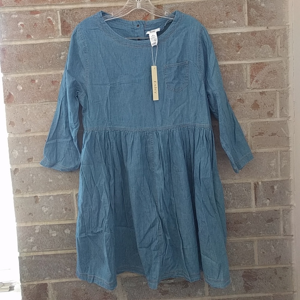 Esley Chambray Mini Dress